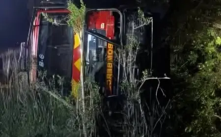 Cinco bomberos lesionados tras desbarrancarse 50 metros en vehículo cuando se dirigían a emergencia en Liquiñe, Panguipulli