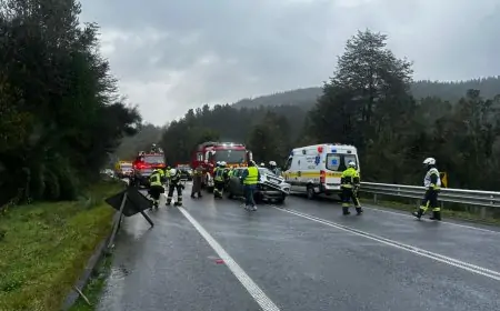 Dos personas lesionadas leves y tránsito interrumpido por colisión entre camión y vehículo menor en ruta T-206 Paillaco