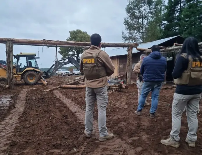 Dos hombres fueron detenidos en Mariquina por usurpación y tala ilegal de más de 40 eucaliptus