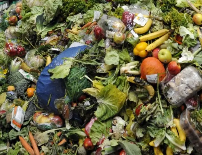 Chile, récord mundial en desperdicio de comida