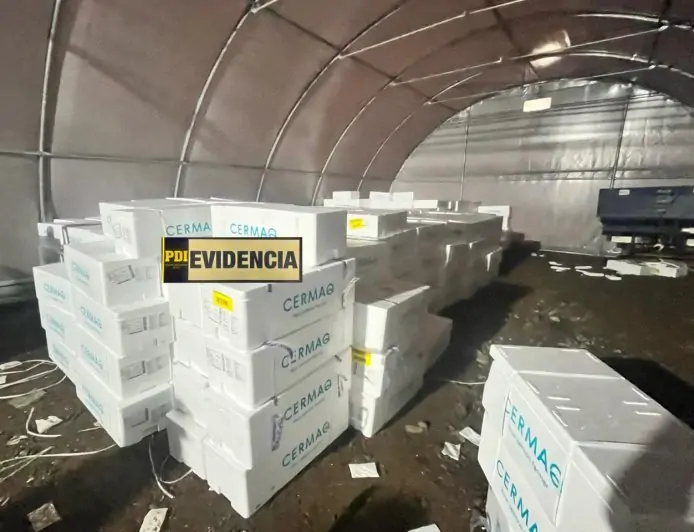PDI recupera $420 millones en salmón y camión robado en la Ruta 5 y detienen a un hombre por receptación en La Unión