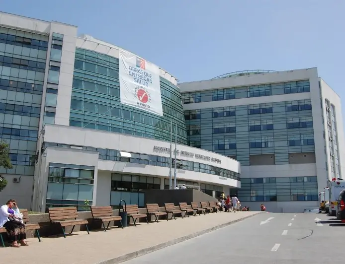 Séptimo caso de hantavirus en Los Lagos: trabajador ganadero está hospitalizado en Temuco conectado a ECMO