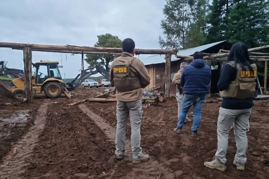 Dos hombres fueron detenidos en Mariquina por usurpación y tala ilegal de más de 40 eucaliptus