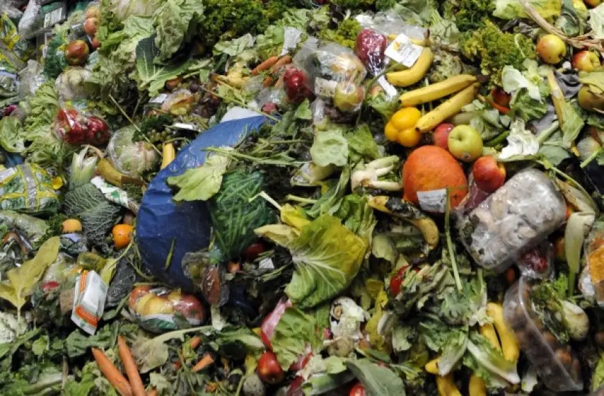 Chile, récord mundial en desperdicio de comida