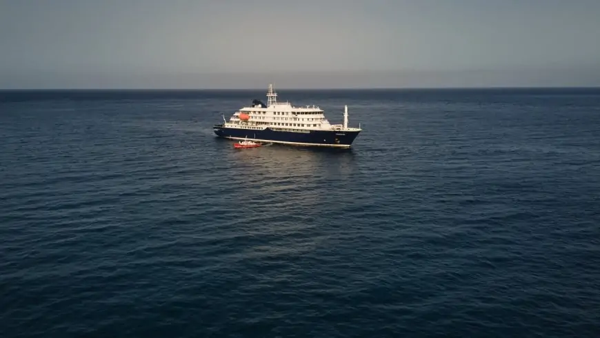 Ministro de Salud informa que no hay transmisión de hantavirus por crucero en territorio chileno