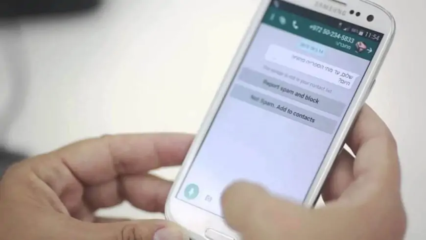 Alumnos de octavo básico en Puerto Montt son querellados por amenazar con violar a profesora en chat de WhatsApp: "Viólenla entre todos"