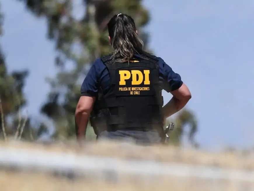 PDI detiene a líder mapuche de Temucuicui y ministra Steinert destaca tercer operativo coordinado para "recuperar el control del territorio"