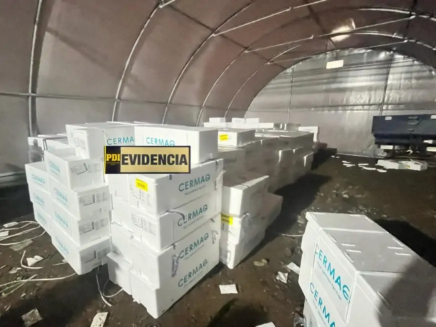PDI recupera $420 millones en salmón y camión robado en la Ruta 5 y detienen a un hombre por receptación en La Unión