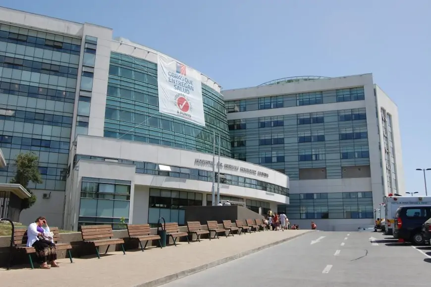 Séptimo caso de hantavirus en Los Lagos: trabajador ganadero está hospitalizado en Temuco conectado a ECMO