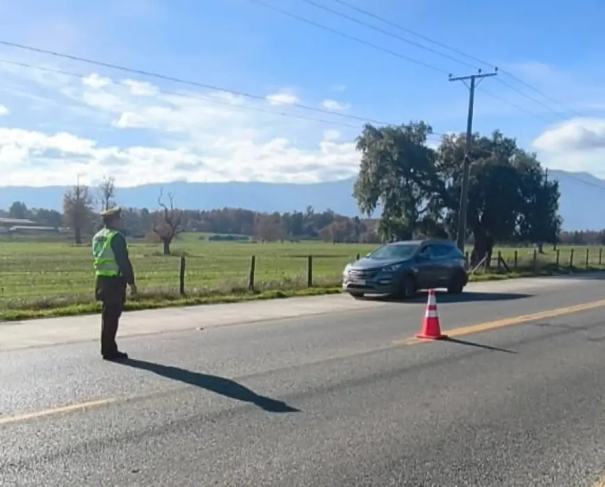Carabineros de Futrono detiene a dos personas por desacato y sustracción de madera durante operativos de fin de semana