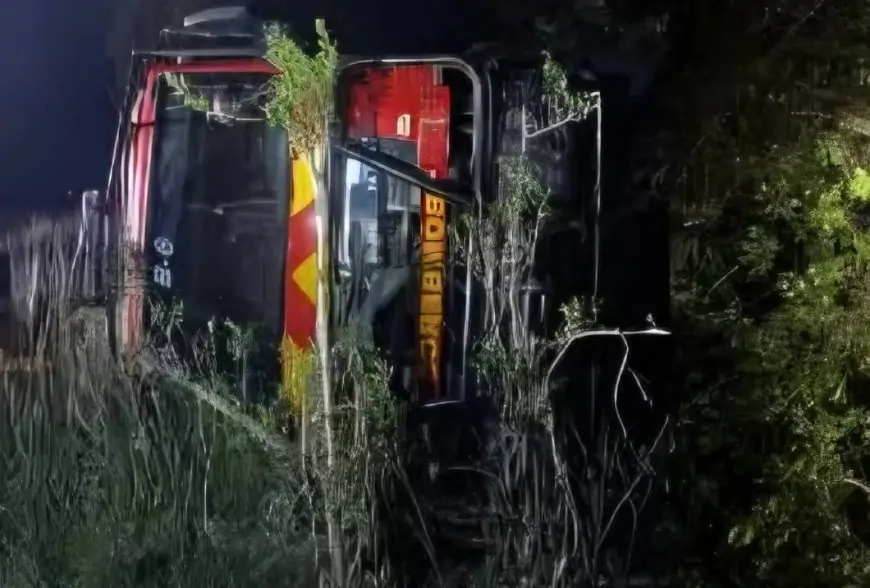 Cinco bomberos lesionados tras desbarrancarse 50 metros en vehículo cuando se dirigían a emergencia en Liquiñe, Panguipulli