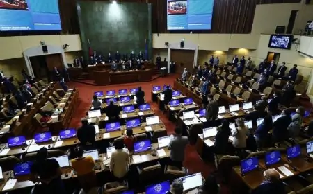 Oposición anuncia requerimiento al Tribunal Constitucional contra proyecto "Escuelas Protegidas" por vulneración a la privacidad y honra