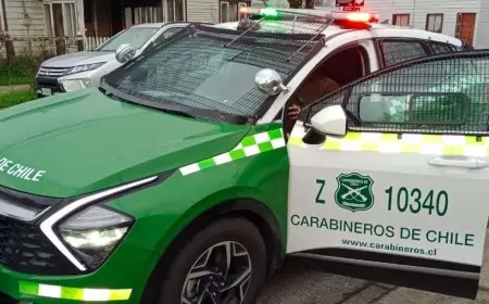Carabineros detiene a sujeto en Paillaco y recupera especies robadas desde dos recintos municipales