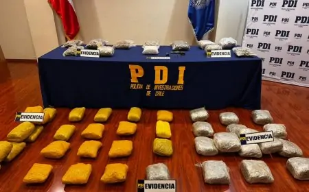 PDI desarticula en Puerto Montt organización criminal extranjera e incauta más de 53 kilos de droga