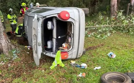 Accidente vehicular en sector Cruce Reumén deja una persona lesionada tras choque de vehículo menor contra un árbol