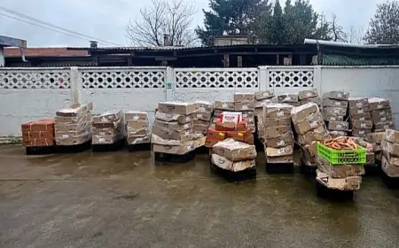 Seremi de Salud decomisa más de 2 toneladas de material vencido en fábrica de cecinas en Purranque e inicia sumario sanitario