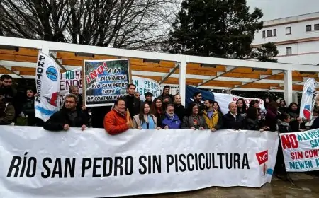 Movimiento Río San Pedro sin Salmoneras espera falllo de la Corte Suprema por proyecto de piscicultura en Los Lagos 