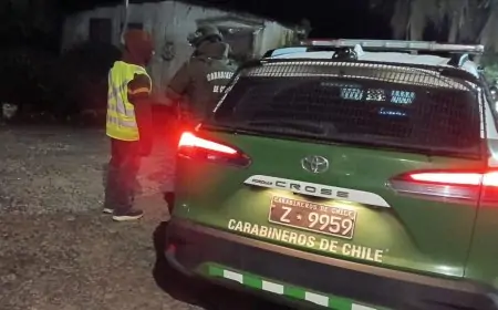 Ronda de Carabineros en Los Ríos deja 5 detenidos y 362 controles durante intervención conjunta