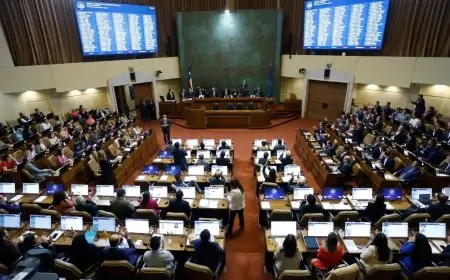 DC propone “Registro de Vándalos de Cuello y Corbata” para sancionar a condenados por delitos económicos con pérdida de beneficios 