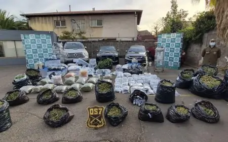 Carabineros incauta 536 kilos de marihuana y desarticula organización criminal en Los Ríos con detenidos en tres regiones
