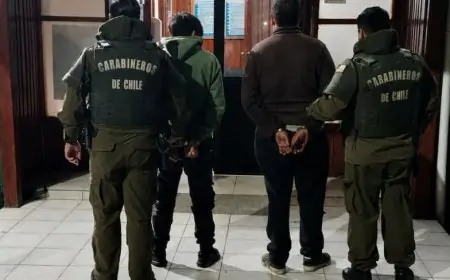 Dos hombres detenidos por abigeato en Panguipulli: fueron sorprendidos arrastrando una oveja en predio de Melefquén