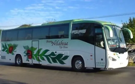Conductor de bus Nilahue fue agredido con objeto contundente en Calcurrupe: sufrió fractura grave y fue trasladado a Valdivia