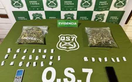 Hombre con antecedentes es detenido por tráfico de 870 dosis de marihuana avaluadas en $4,3 millones en Valdivia