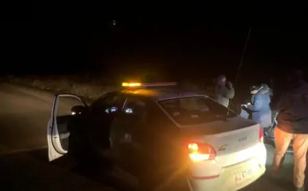 Patrullajes preventivos en sectores rurales de Río Bueno: Oficina de Seguridad Pública y Patrulla Mixta fiscalizan Los Nichos, Puente Alto y Pindaco Bajo