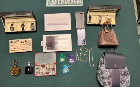 Carabineros detiene a cuatro personas por robo a domicilio en sector Quitacalzón de Valdivia y recupera la totalidad de las especies sustraídas