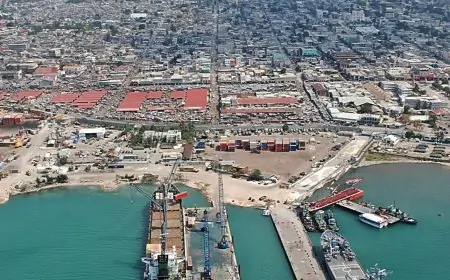Cancillería envía equipo a consulado en Haití para reorganizar operaciones tras caso de niños haitianos y revoca funciones de cónsul
