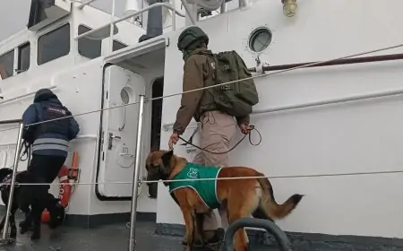 Carabineros OS7, Armada y Aduanas fiscalizan buque chino en Corral durante revista de fondeo sin registrar novedades