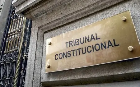 Tribunal Constitucional anula revisión de mochilas y vetos a expulsados de ley Escuelas Protegidas