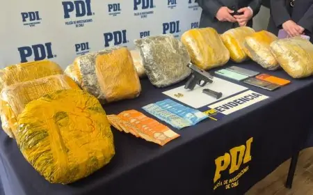 PDI desarticula organización criminal de drogas en Los Ríos: tres detenidos y más de 14 kilos de cannabis incautados