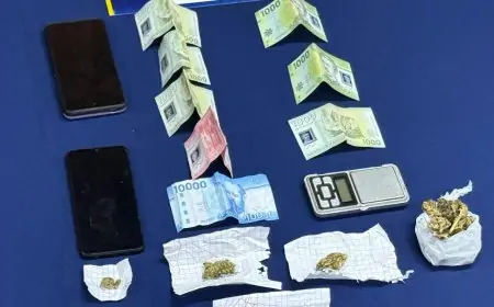 PDI detiene a dos personas por microtráfico en La Unión: incautan 26,2 gramos de cannabis y elementos para dosificar