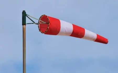SENAPRED declara alerta preventiva por vientos de hasta 100 km/h en precordillera y cordillera de Los Ríos desde la noche de este martes