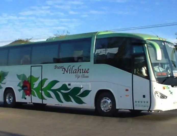 Conductor de bus Nilahue fue agredido con objeto contundente en Calcurrupe: sufrió fractura grave y fue trasladado a Valdivia