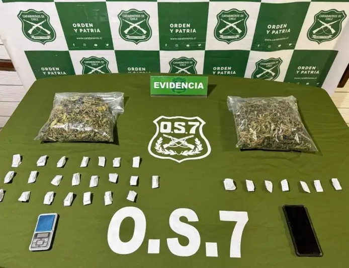 Hombre con antecedentes es detenido por tráfico de 870 dosis de marihuana avaluadas en $4,3 millones en Valdivia