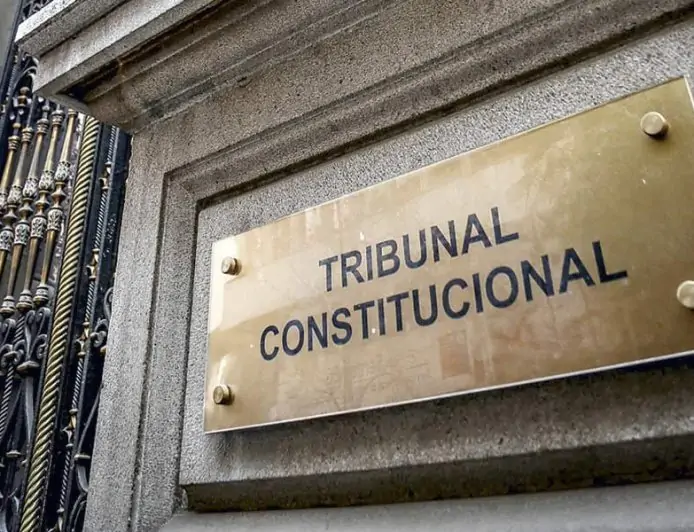 Tribunal Constitucional anula revisión de mochilas y vetos a expulsados de ley Escuelas Protegidas