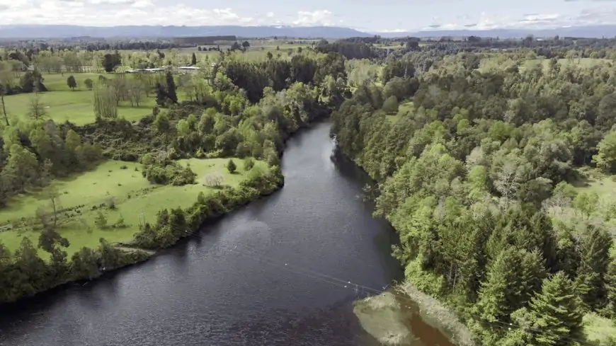 Equipos de rescate intensifican busqueda de joven de 23 años desaparecido en el río Pilmaiquén