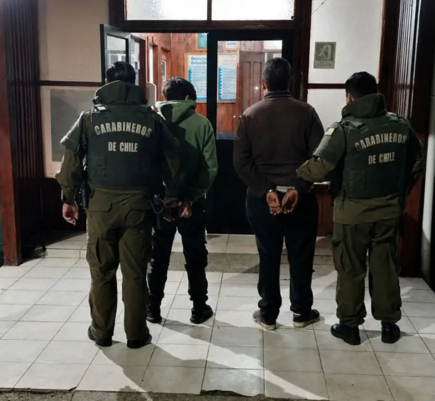 Dos hombres detenidos por abigeato en Panguipulli: fueron sorprendidos arrastrando una oveja en predio de Melefquén