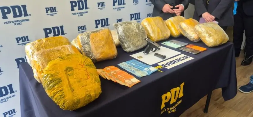 PDI desarticula organización criminal de drogas en Los Ríos: tres detenidos y más de 14 kilos de cannabis incautados