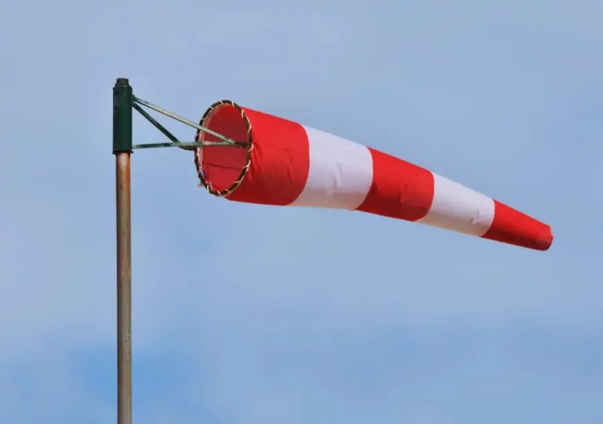 SENAPRED declara alerta preventiva por vientos de hasta 100 km/h en precordillera y cordillera de Los Ríos desde la noche de este martes