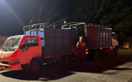 Fiscalía formaliza a imputado por abigeato en La Unión tras ser sorprendido transportando dos caballares sin acreditar procedencia