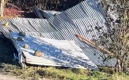 SENAPRED Los Rios reporta 27 damnificados, nueve heridos por viento puelche y más de 11 mil clientes siguen sin electricidad