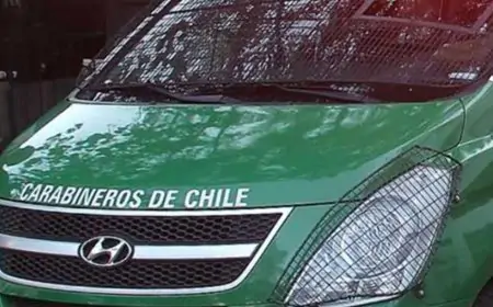 Adulto mayor fallece tras ser atropellado mientras circulaba en bicicleta en Río Bueno: accidente ocurrió en sector Los Tilos