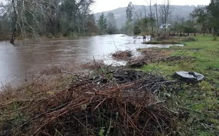 SENAPRED declara Alerta Amarilla para Lanco y Mariquina por crecida del río Leufucade en Purulón