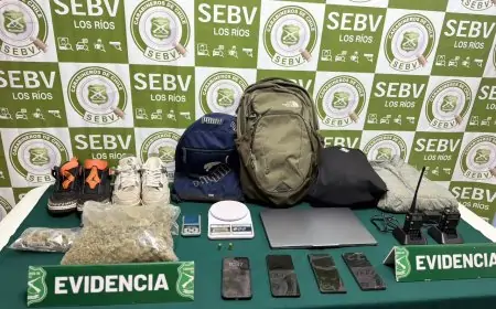 SEBV Los Ríos desarticula banda de "falso pasajero": dos detenidos y cinco integrantes vinculados a robos violentos de vehículos