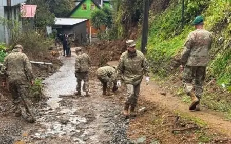 SENAPRED reporta 16 damnificados y más de 1.700 clientes sin luz en Los Ríos por sistema frontal: dos viviendas destruidas en Valdivia y Corral