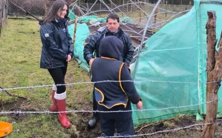 Agricultores afectados por sistema frontal en Los Ríos ascienden a 160: seremi de Agricultura y directora de INDAP recorren zonas de la provincia del Ranco