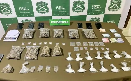 Carabineros del OS7 desarticula banda de drogas en Valdivia: cinco detenidos y avalúo de más de $14 millones en sustancias ilícitas